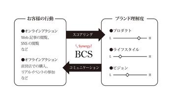 bcs_01.jpg