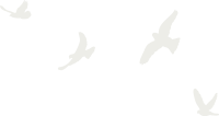 鳥イラスト